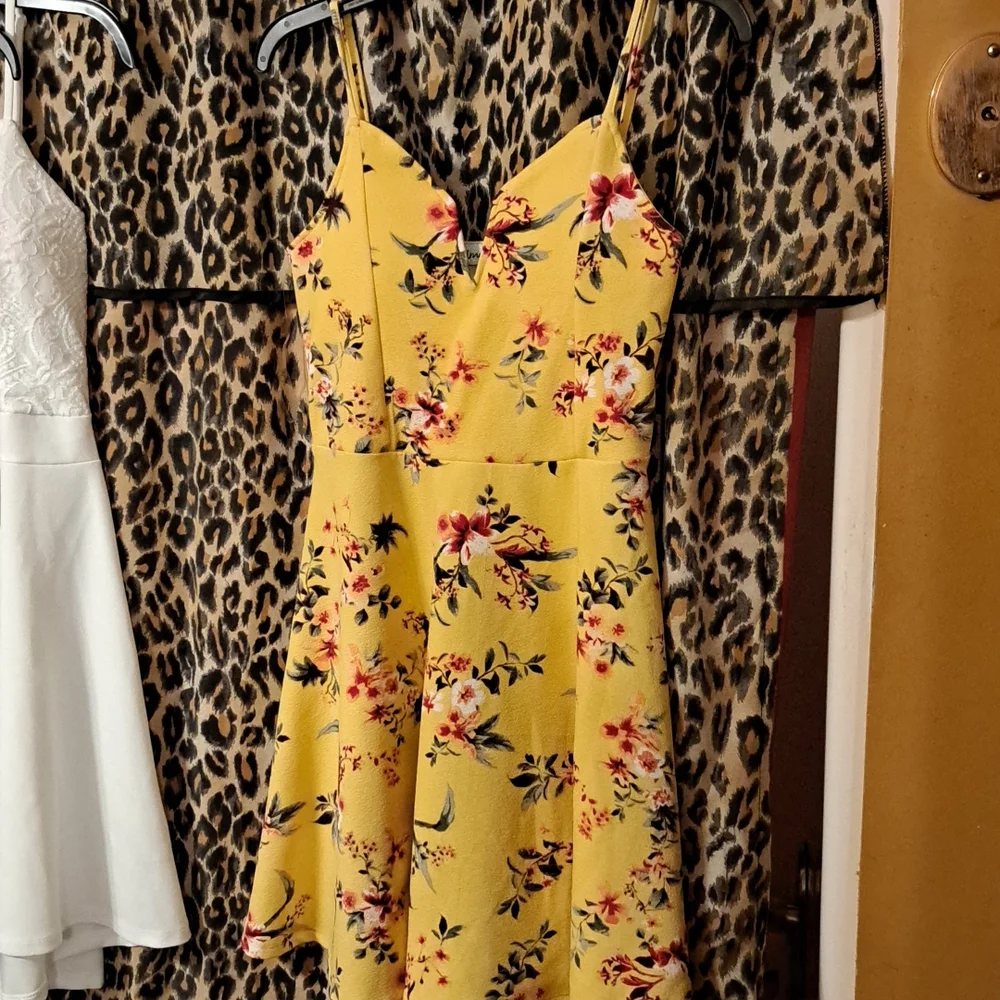 Dresses - Picture 4 of 4
